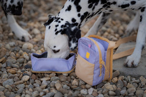 Woolly Wolf Hydration Shoulder Bag + FREE WATER BOTTLE