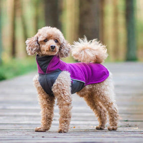 JumppaPomppa Jumper