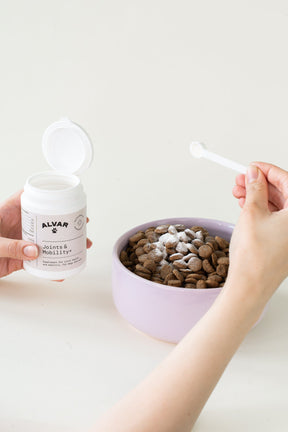 Alvar Pet Joints & Mobility+ kosttillskott för hund och katt 175 g