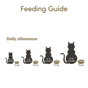 Applaws Kitten Kyckling 2 kg torrfoder för kattungar