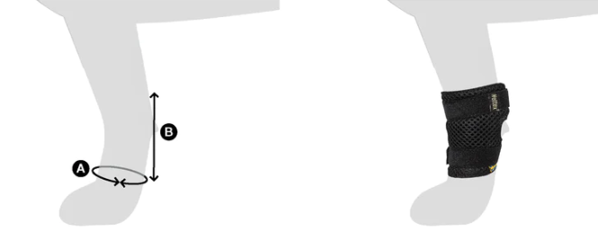 Back on Track Milo Dog Leg Protectors