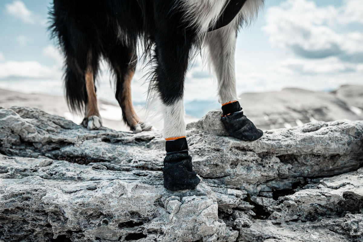 Non-stop Dogwear Protector Bootie 4 st