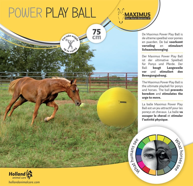 Maximus Power lekboll 75 cm för hästar