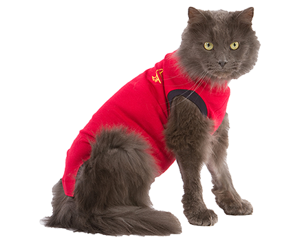 Medical Pet Shirt återhämtningströja för katter XXS