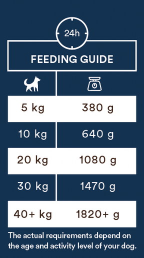 Monster Dog Adult Sensitive Fish 6 x 400 g för hundar