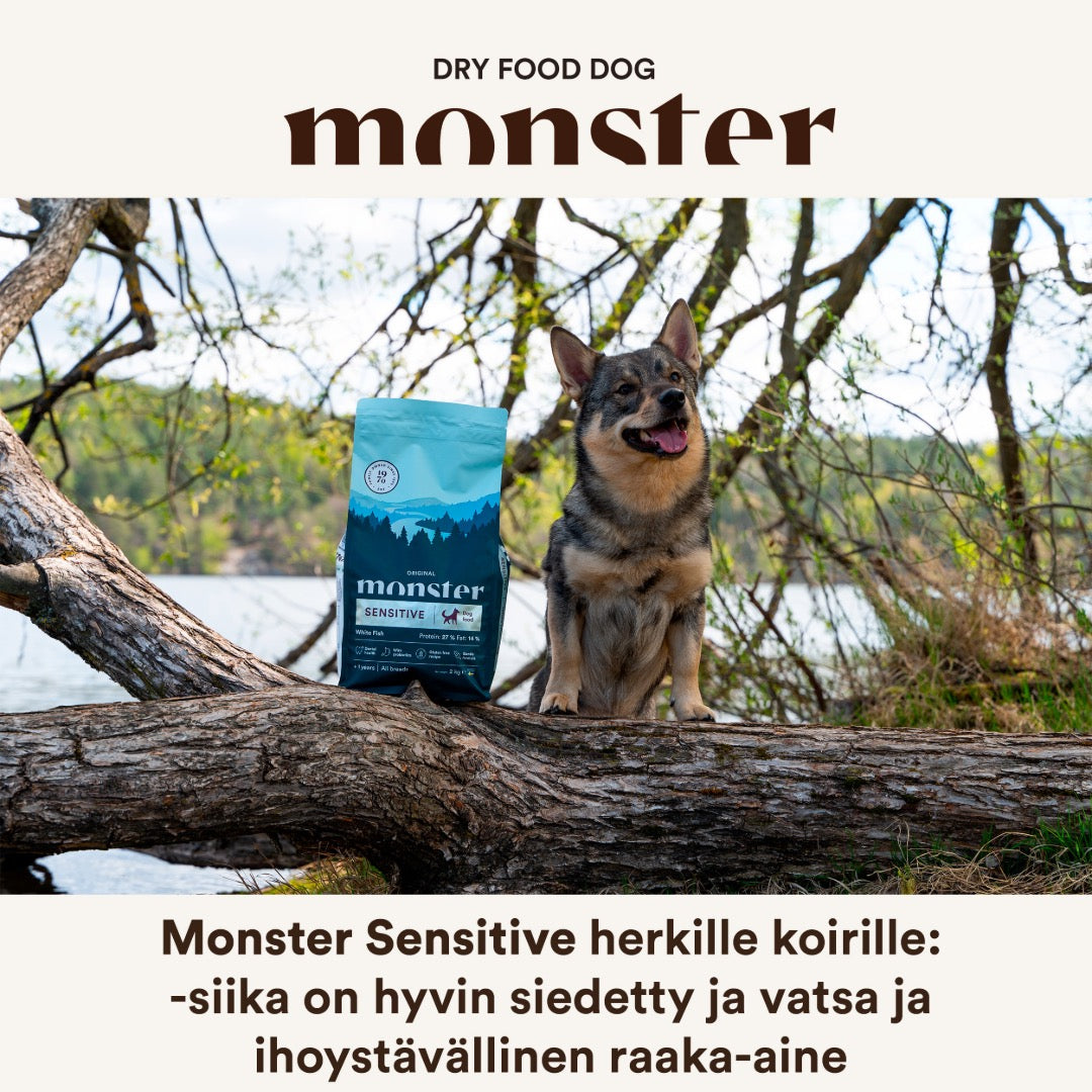 Monster Dog original adult sensitive white fish för hund 12 kg