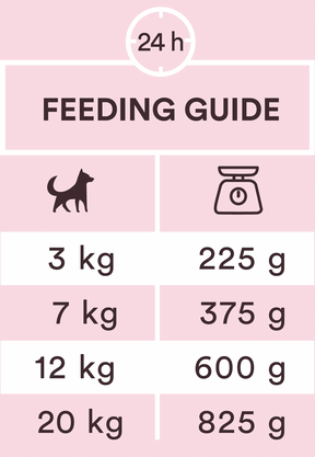 Monster Dog Adult Power Paté nötkött för hund 150 g