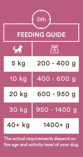 Monster Dog Adult Single Protein pork för hund 6 x 400 g