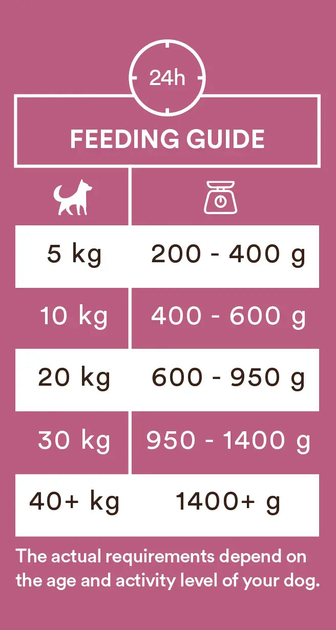 Monster Dog Adult Single Protein pork för hund 6 x 400 g