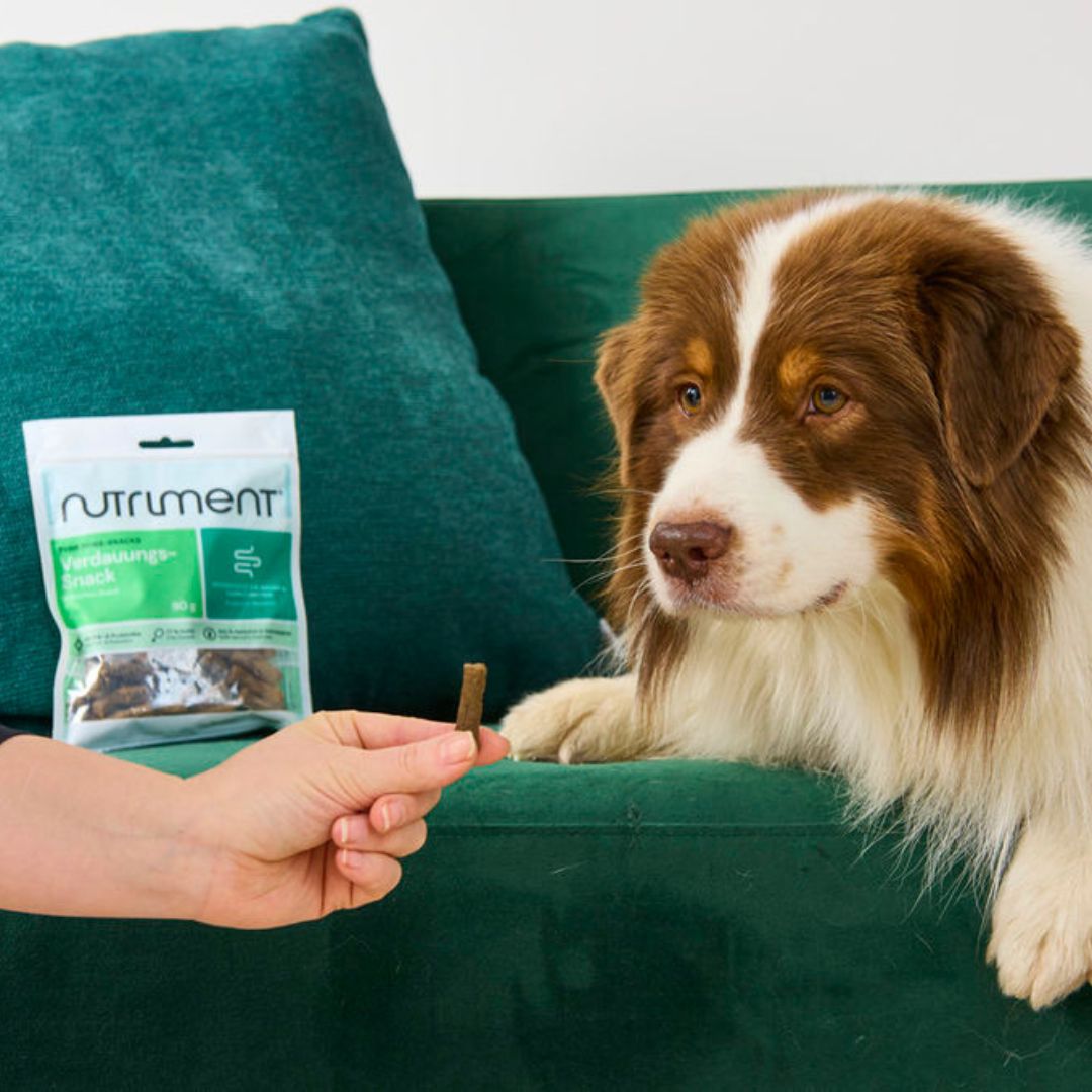 Nutriment Digestion Snack 90 g