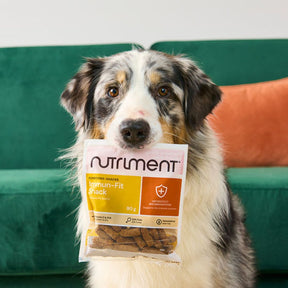 Nutriment Immune Defence Snack 90 g