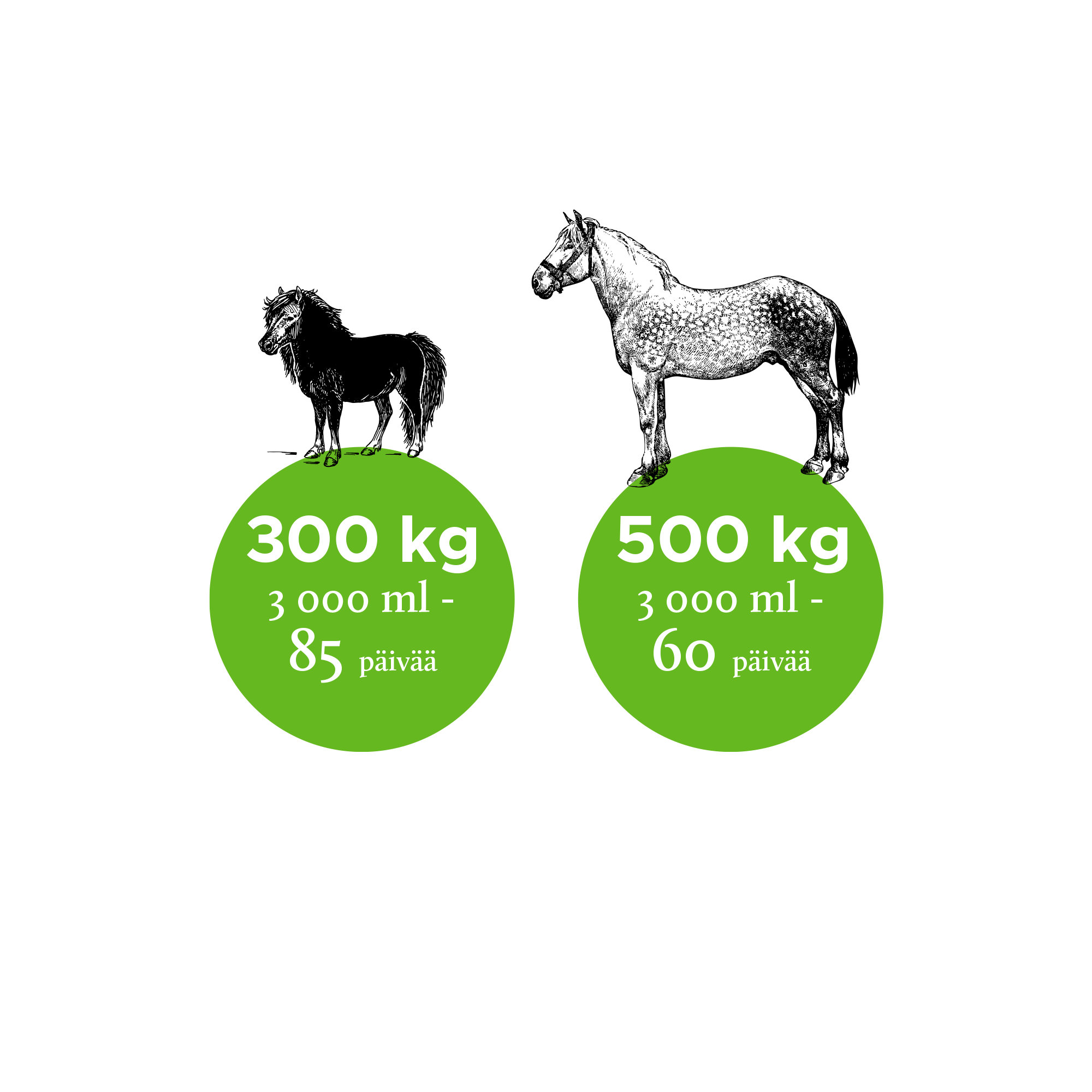 Nutrolin Horse Skin & Coat 3 L SUPER PRICE