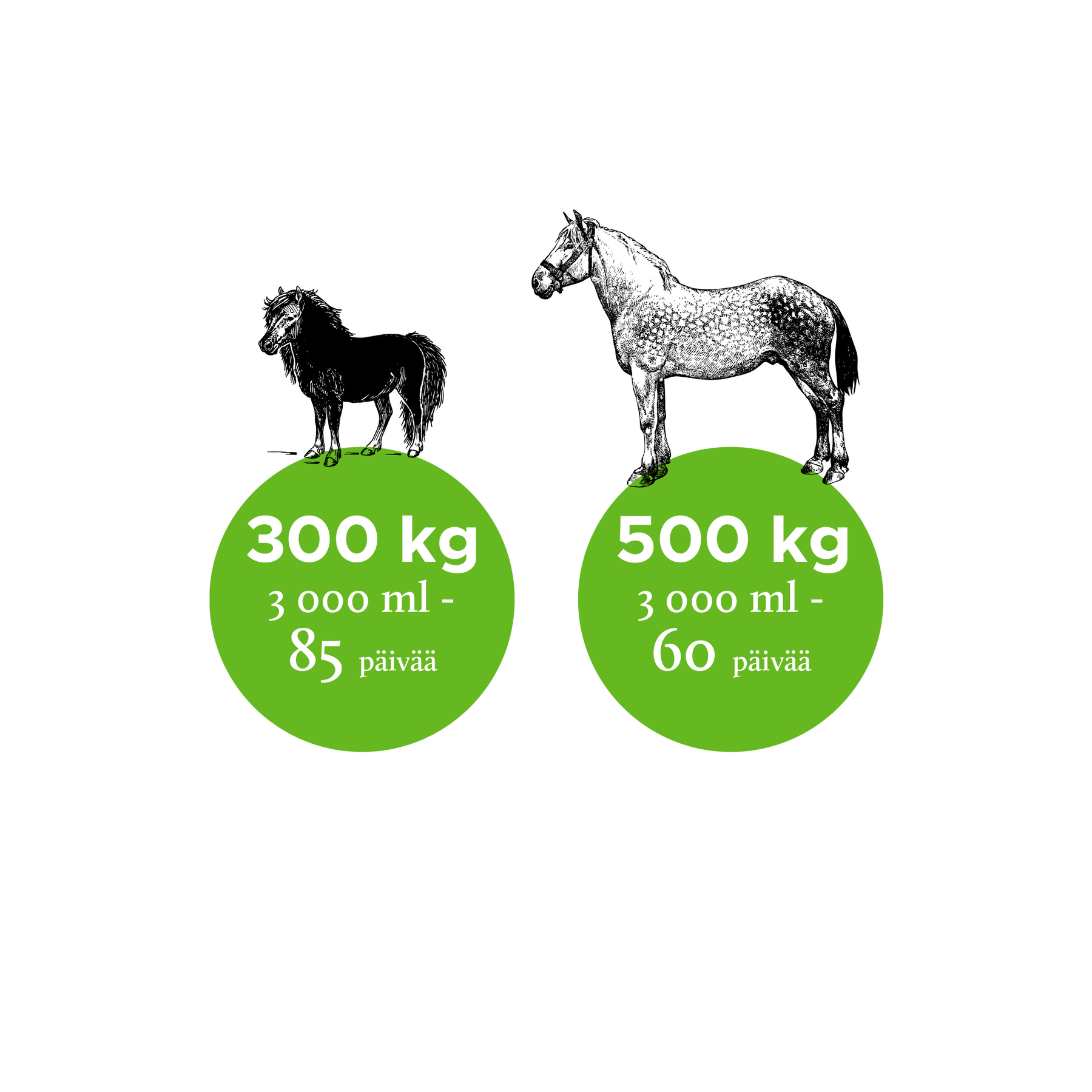 Nutrolin Horse Skin & Coat för Häst 3 L SUPERPRIS
