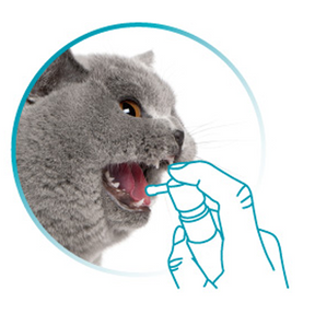 VETdicate Oral-Relax munspray för hundar och katter 20 ml
