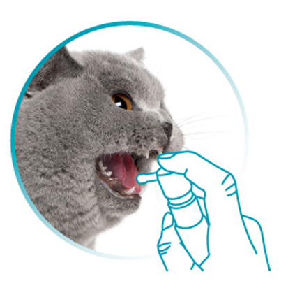 VETdicate Oral-Relax munspray för hundar och katter 20 ml