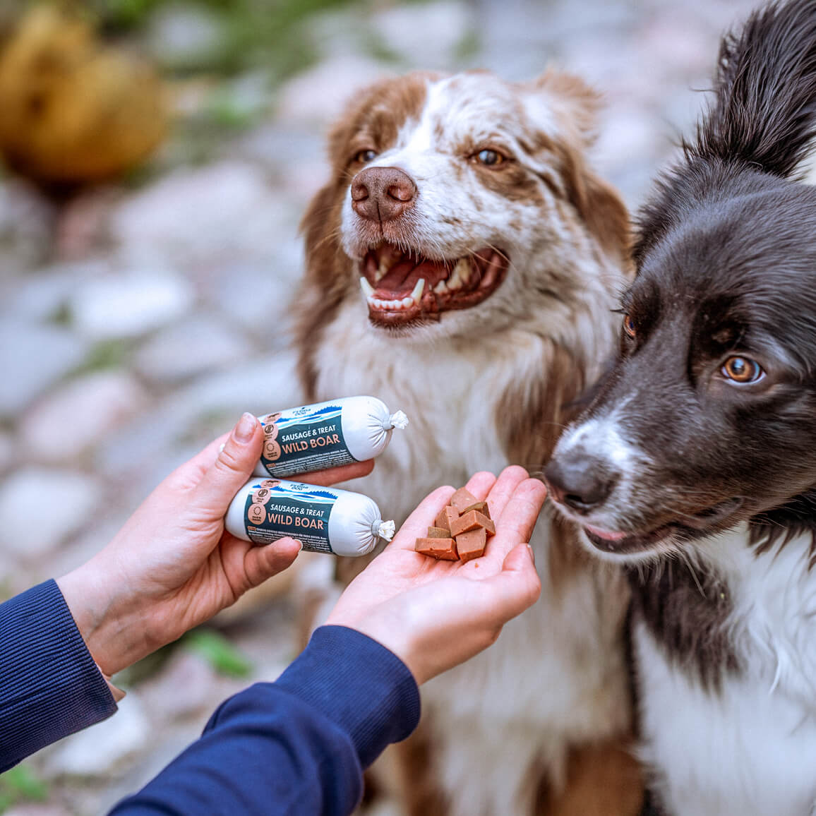 PrimaDog Träningskorv Anka för hundar 80 g