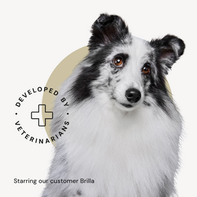 Alvar Pet Puppy/Chicken torrfoder för hundar
