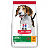 Hill's Science Plan Medium Puppy valpfoder med kyckling 12 kg
