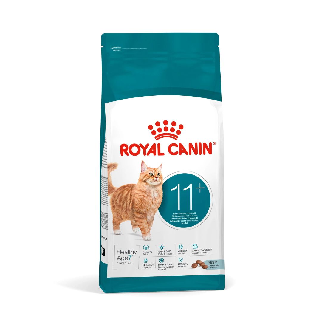 Royal Canin AGEING 11+ Dry food for cats
