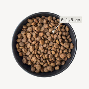 Alvar Pet Sensitive/Venison dry food for dogs 2 x 7 kg SAVE PACK
