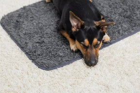 Pomppa Settle Mat för en hund