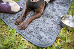 Pomppa Settle Mat för en hund