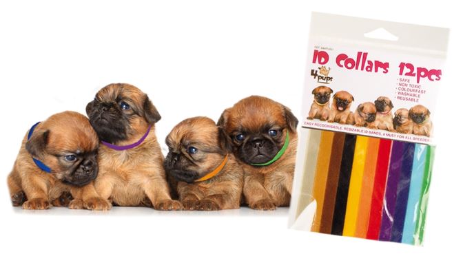 VIP Transgroom 4pups puppy collars 12 pcs
