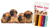 VIP Transgroom 4pups valphalsband 12 st

