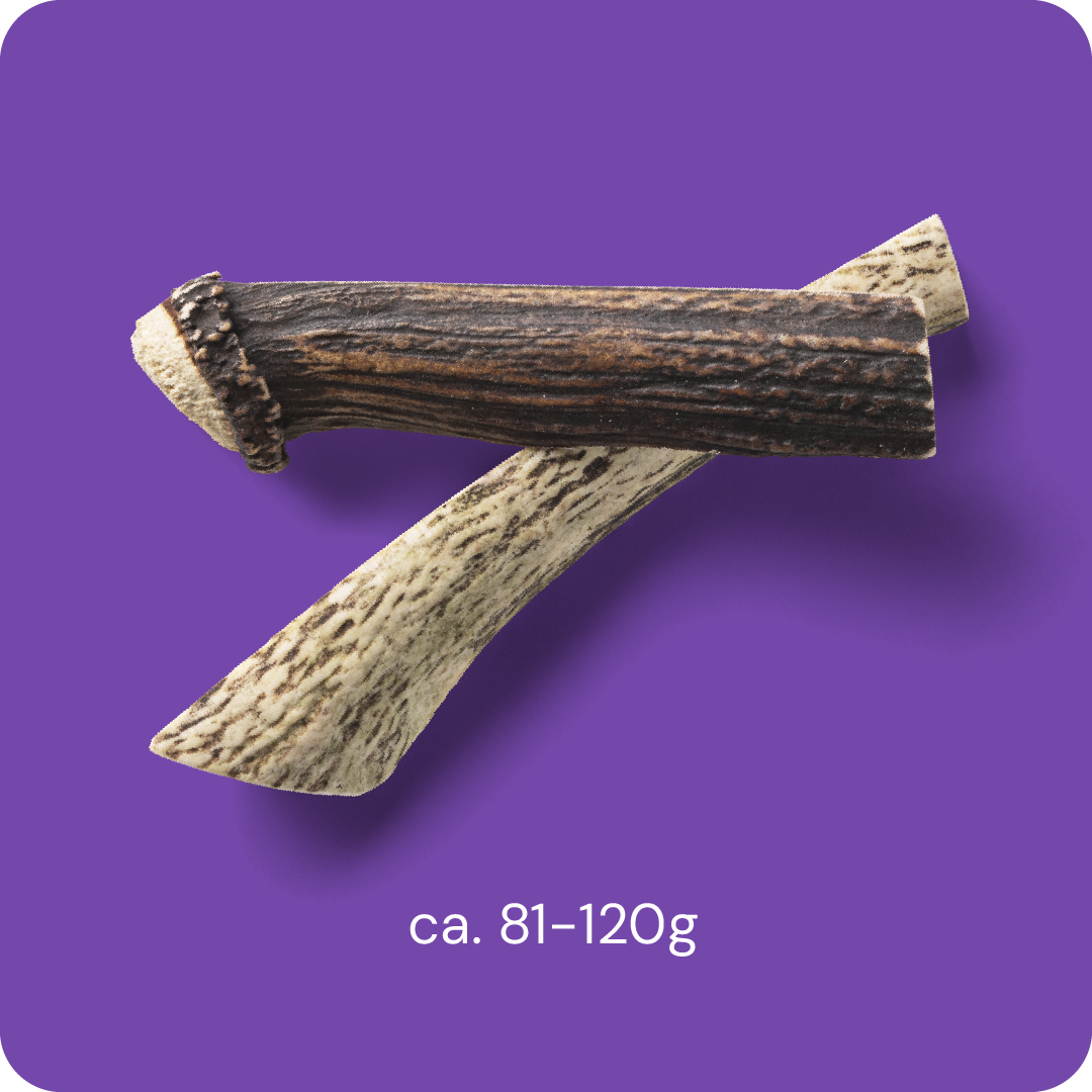 Nutriment Split Antler L - Hjorthorn 1 pcs