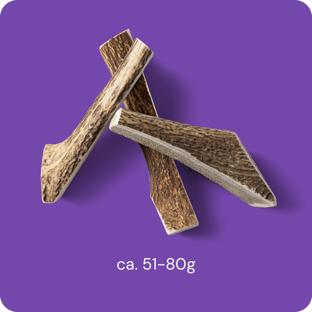 Nutriment Split Antler M - Hjorthorn 1 pcs