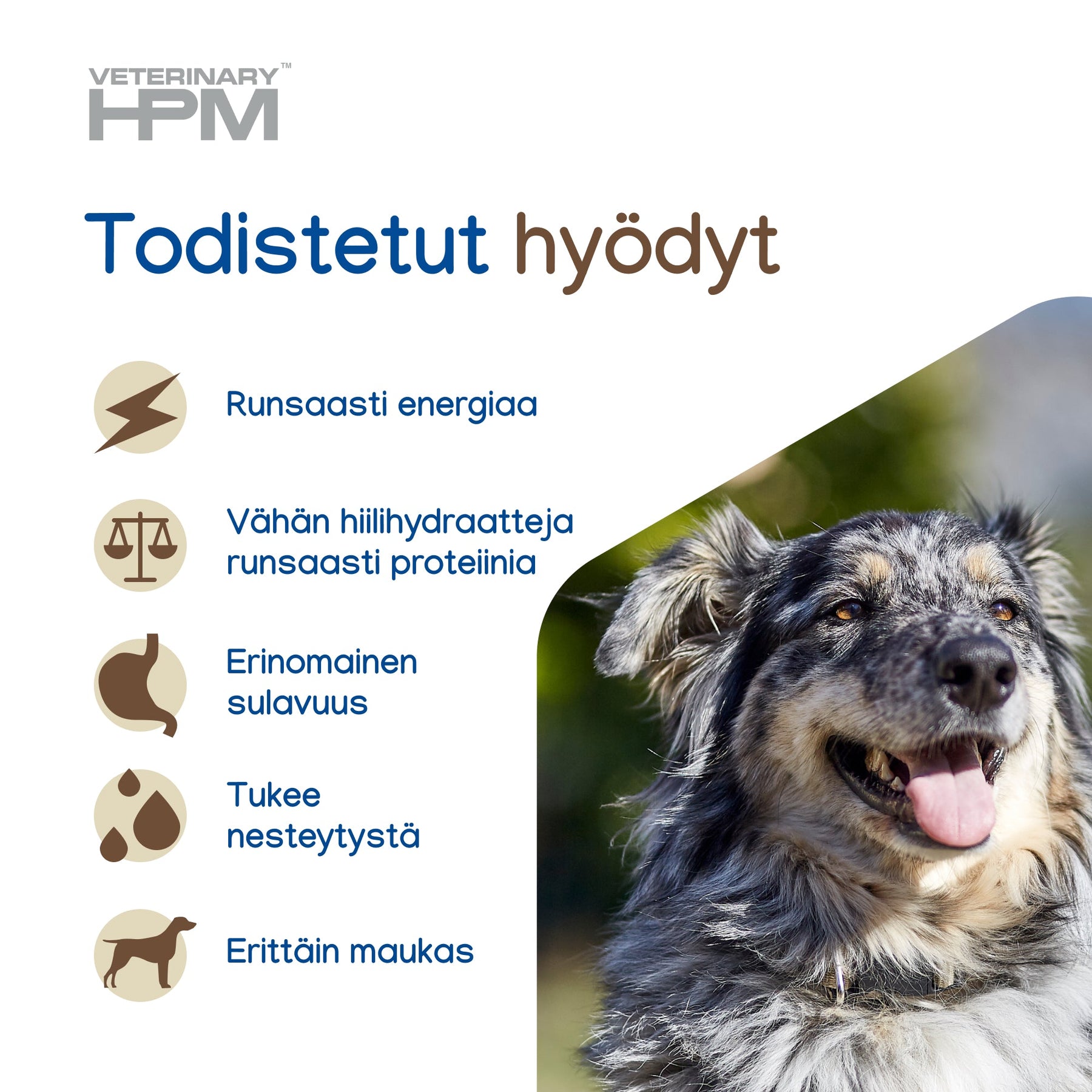 Virbac Veterinary HPM Digestive Loaf våtfoder för hund 300 g