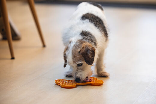 Beeztees LickMat Bone slickmatta orange 18 cm för hundar