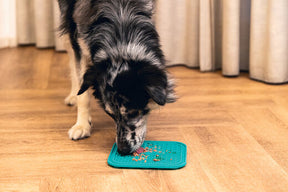 Beeztees LickMat Connoisseur Green 20 cm