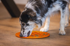 Beeztees LickMat Sunflower slickmatta orange 30 cm för hundar