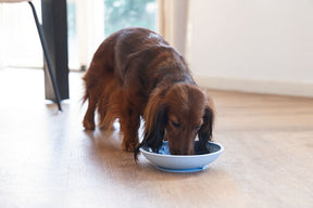 Beeztees LickMat Dish slickmatta ljusblå 19 cm