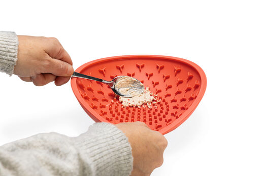 Beeztees LickMat Dish nuolumatto
