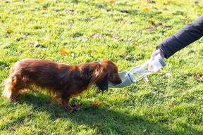 Beeztees Nel Travel Water Bottle for Dogs 600 ml