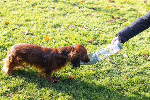 Beeztees Nel Travel Water Bottle for Dogs 600 ml