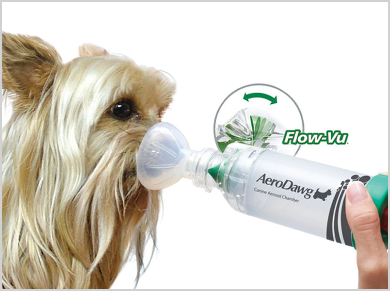 AeroDawg inhalator för hundar över 9 kg