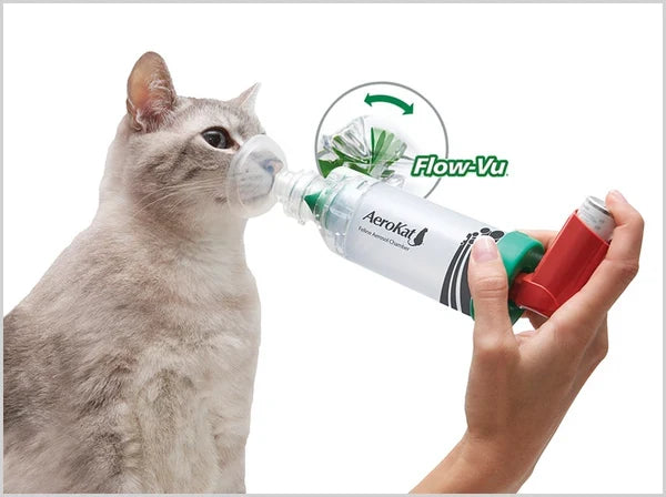 AeroKat inhalation device for cats