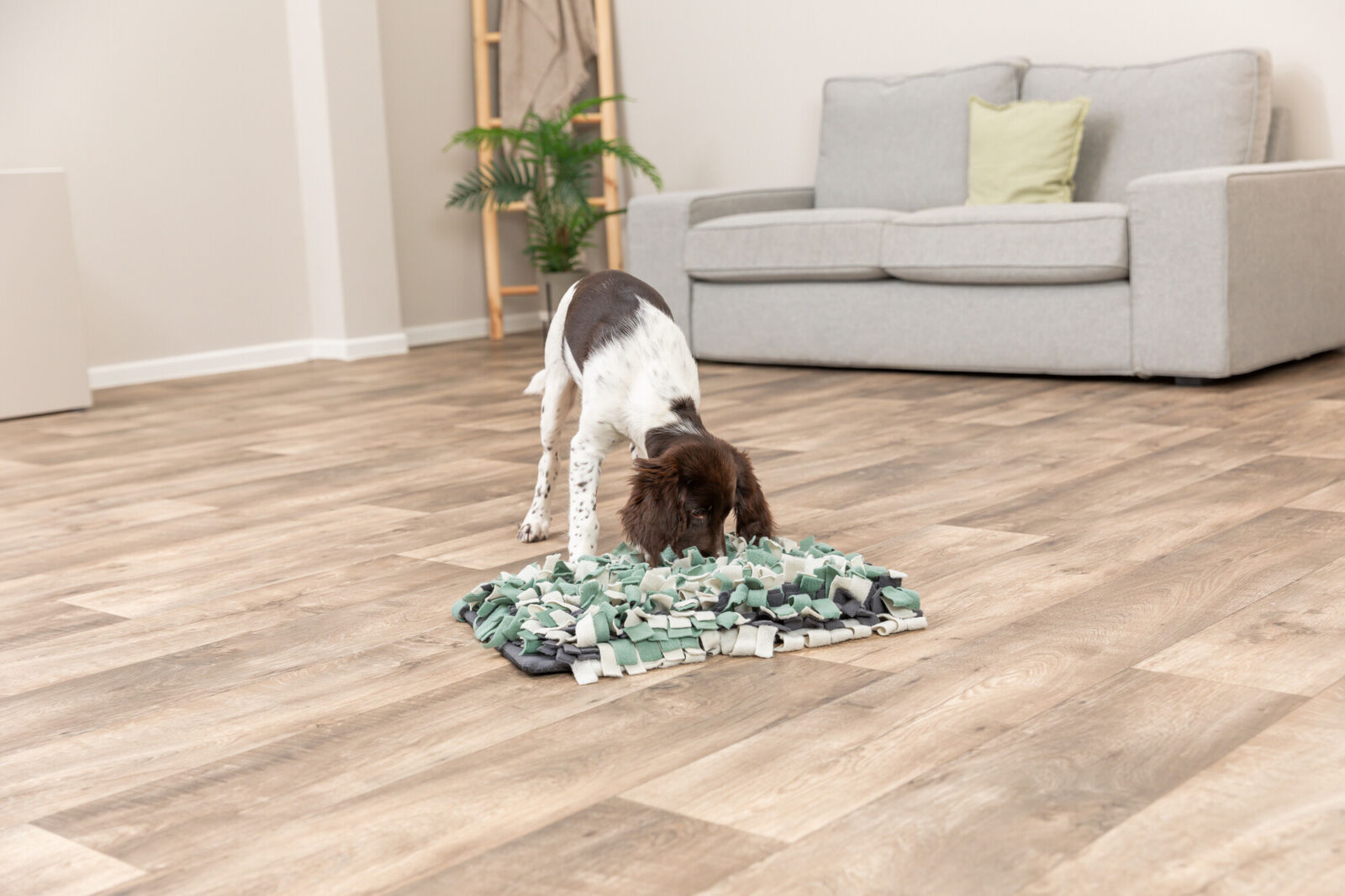 Trixie Activity Snuffle Mat Fringe