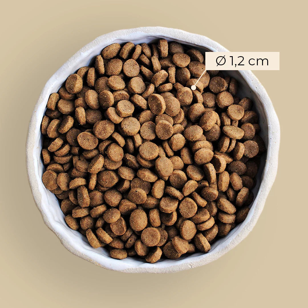 Alvar Pet Root Hundfoder 2 kg