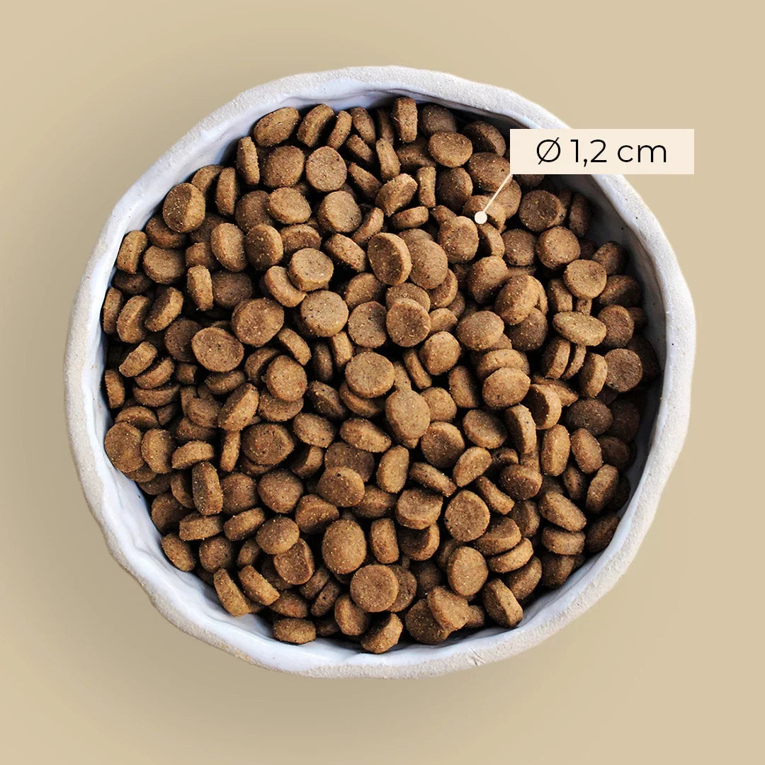 Alvar Pet Root kuivtoit koertele 2 x 6 kg SOODUSKOMPLEKT