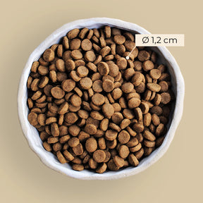 Alvar Pet Root Hundfoder 2 kg