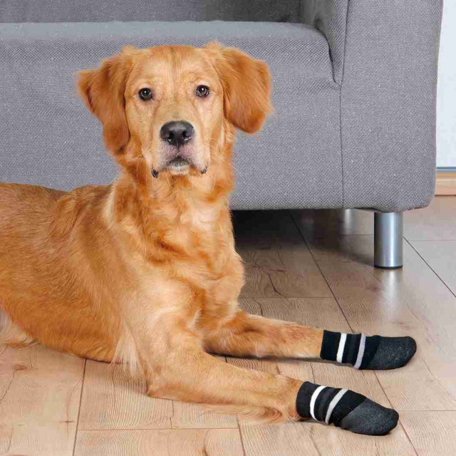 Trixie anti-slip strumpor för hundar L 2 st