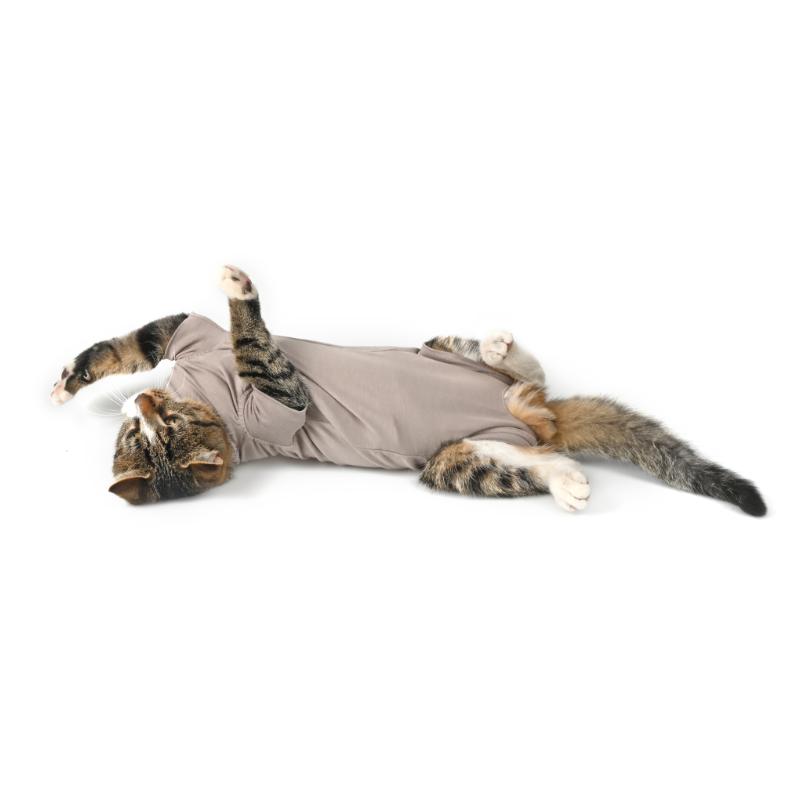 Buster Body suit Step'n Go skyddsbody för katter XXXS