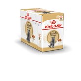 Royal Canin British Shorthair Adult våtfoder i sås 12 x 85 g för katter