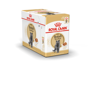 Royal Canin British Shorthair Adult våtfoder i sås 12 x 85 g för katter