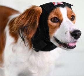 Buster Ear Cover for Dogs M
