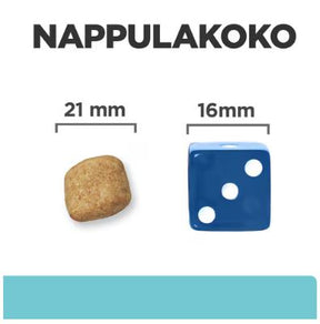 Hill's Prescription Diet t/d Mini kanaga kuivtoit koertele 3 kg